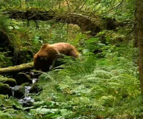 vysoke-tatry-film-o-filme